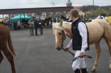 AgroTargi 2016 już za nami