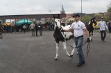 AgroTargi 2016 już za nami