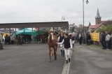 AgroTargi 2016 już za nami