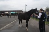 AgroTargi 2016 już za nami