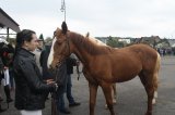AgroTargi 2016 już za nami