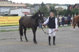 AgroTargi 2016 już za nami