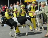 Agroniedziela w&nbsp;Czarnkowie