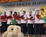 Dożynki powiatowe tym razem w&nbsp;Drawsku