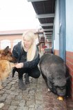 Zakochani w Stefanowie