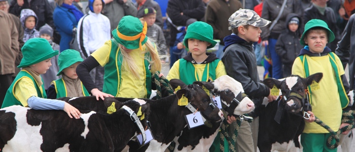  - panorama_targi_pod_znakiem_deszczu_18.04.2012.jpg