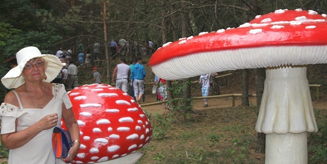  - panorama_w_drawsku_wyrosly_grzyby.jpg